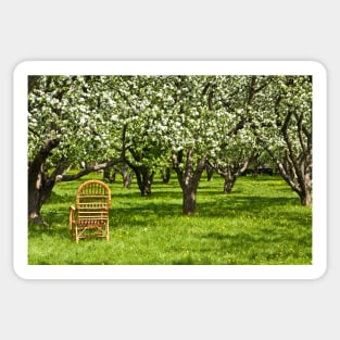 Apple garden Sticker